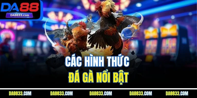 Các hình thức đá gà nổi bật