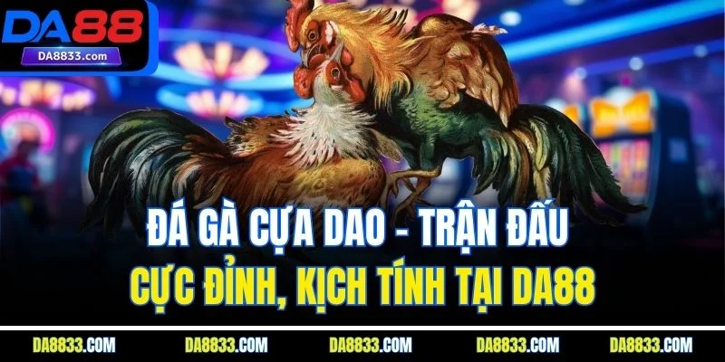 Đá Gà Cựa Dao – Trận Đấu Cực Đỉnh, Kịch Tính Tại DA88