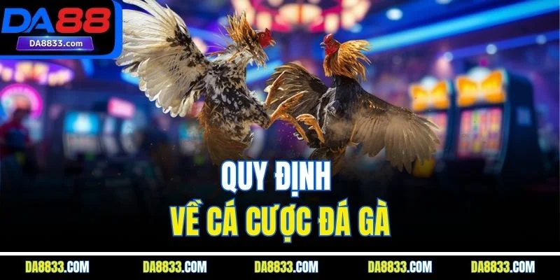 Quy định về cá cược đá gà